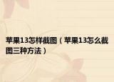 苹果13怎样截图（苹果13怎么截图三种方法）