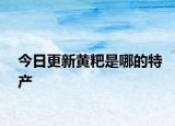 今日更新黄粑是哪的特产