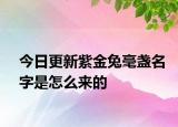 今日更新紫金兔毫盏名字是怎么来的