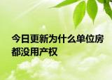 今日更新为什么单位房都没用产权