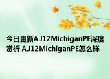 今日更新AJ12MichiganPE深度赏析 AJ12MichiganPE怎么样