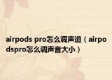 airpods pro怎么调声道（airpodspro怎么调声音大小）