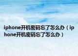 iphone开机密码忘了怎么办（iphone开机密码忘了怎么办）