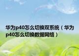 华为p40怎么切换双系统（华为p40怎么切换数据网络）