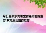 今日更新东莞哪里有踏青的好地方 东莞适合踏青推荐