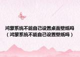 鸿蒙系统不能自己设置桌面壁纸吗（鸿蒙系统不能自己设置壁纸吗）