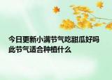 今日更新小满节气吃甜瓜好吗  此节气适合种植什么