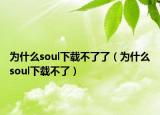 为什么soul下载不了了（为什么soul下载不了）