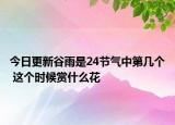今日更新谷雨是24节气中第几个 这个时候赏什么花
