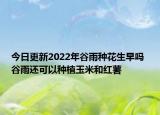 今日更新2022年谷雨种花生早吗 谷雨还可以种植玉米和红薯