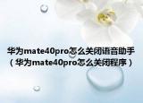 华为mate40pro怎么关闭语音助手（华为mate40pro怎么关闭程序）