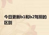 今日更新b1和b2驾照的区别