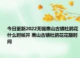 今日更新2022无锡惠山古镇杜鹃花什么时候开 惠山古镇杜鹃花花期时间
