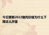 今日更新2022猪肉价格为什么下降这么厉害