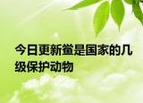 今日更新鲎是国家的几级保护动物