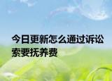 今日更新怎么通过诉讼索要抚养费