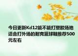 今日更新Kd12能不能打塑胶场地 适合打外场的耐克篮球鞋推荐500元左右