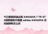 今日更新阿迪达斯 KANADIA 7 TR GTX越野跑鞋开箱图 adidas KANADIA 系列越野鞋怎么样