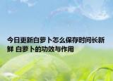 今日更新白萝卜怎么保存时间长新鲜 白萝卜的功效与作用