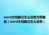 word文档脚注怎么设置为带圈的（word文档脚注怎么设置）