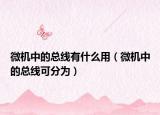 微机中的总线有什么用（微机中的总线可分为）