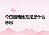 今日更新比基尼是什么意思