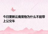 今日更新云南宠物为什么不能带上公交车