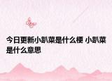 今日更新小趴菜是什么梗 小趴菜是什么意思