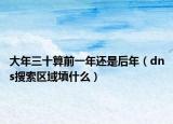 大年三十算前一年还是后年（dns搜索区域填什么）