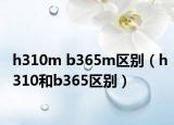 h310m b365m区别（h310和b365区别）