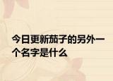 今日更新茄子的另外一个名字是什么