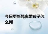 今日更新想离婚孩子怎么判