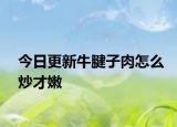 今日更新牛腱子肉怎么炒才嫩