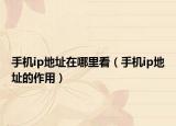 手机ip地址在哪里看（手机ip地址的作用）