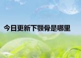 今日更新下颚骨是哪里