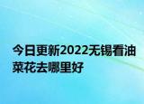 今日更新2022无锡看油菜花去哪里好