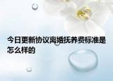 今日更新协议离婚抚养费标准是怎么样的
