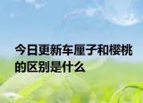 今日更新车厘子和樱桃的区别是什么