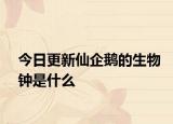 今日更新仙企鹅的生物钟是什么