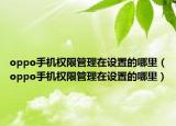 oppo手机权限管理在设置的哪里（oppo手机权限管理在设置的哪里）