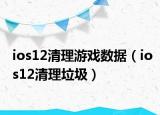 ios12清理游戏数据（ios12清理垃圾）