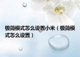 极简模式怎么设置小米（极简模式怎么设置）