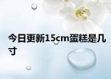 今日更新15cm蛋糕是几寸