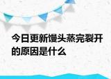 今日更新馒头蒸完裂开的原因是什么
