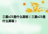 三星s21是什么面板（三星s21是什么屏幕）