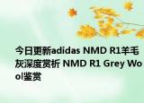 今日更新adidas NMD R1羊毛灰深度赏析 NMD R1 Grey Wool鉴赏