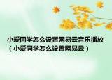 小爱同学怎么设置网易云音乐播放（小爱同学怎么设置网易云）
