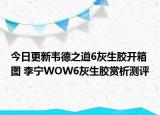 今日更新韦德之道6灰生胶开箱图 李宁WOW6灰生胶赏析测评