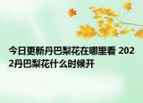 今日更新丹巴梨花在哪里看 2022丹巴梨花什么时候开