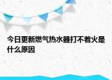 今日更新燃气热水器打不着火是什么原因